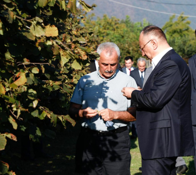 AQTA sədri fındıq emalı müəssisələrinin fəaliyyəti ilə tanış olub