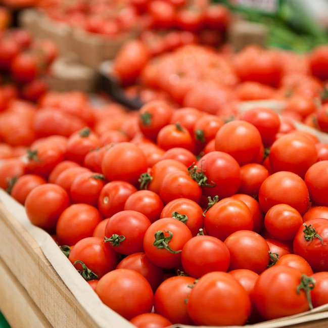 96 müəssisəyə Rusiyaya pomidor ixracına icazə verilib