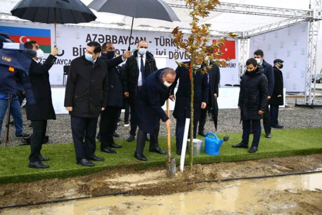 Azərbaycan Türkiyə Cümhuriyyətinin genişmiqyaslı ağacəkmə aksiyasına qoşulub