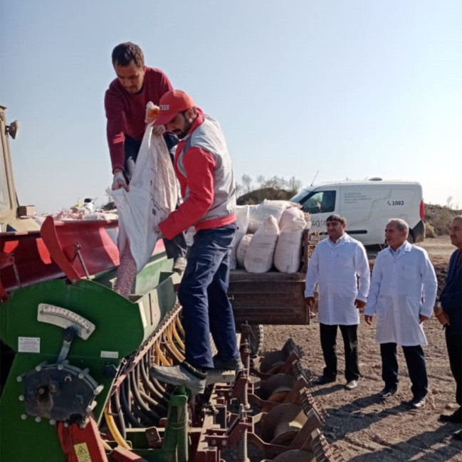 AQTA əməkdaşları Bərdədə səpin üçün nəzərdə tutulan taxıl anbarlarına baxış keçirib