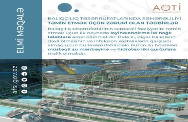 Balıqçılıq təsərrüfatlarında səmərəliliyi təmin etmək üçün zəruri olan tədbirlər