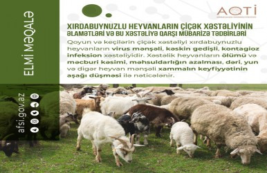 Xırdabuynuzlu heyvanların çiçək xəstəliyinin əlamətləri və bu xəstəliyə qarşı mübarizə tədbirləri