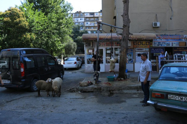 Qaradağ rayonundakı qanunsuz heyvan kəsimi məntəqələrində monitorinqlər keçirilib