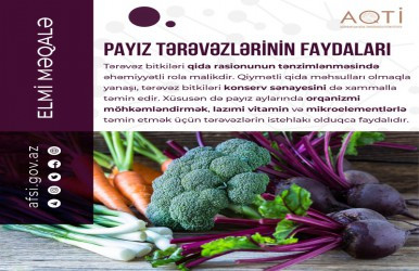 Payız tərəvəzlərinin faydaları