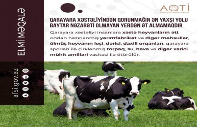 Qarayara xəstəliyindən qorunmağın ən yaxşı yolu baytar nəzarəti olmayan yerdən ət almamaqdır