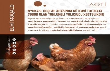 Nyukasl quşlar arasında kütləvi tələfata səbəb olan təhlükəli yoluxucu xəstəlikdir