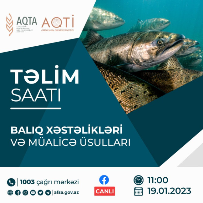 “Təlim saatı”nda balıq xəstəlikləri və müalicə üsullarından bəhs olunacaq