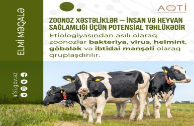 Zoonoz xəstəliklər – insan və heyvan sağlamlığı üçün potensial təhlükədir