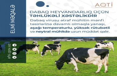 Dabaq heyvandarlıq üçün təhlükəli xəstəlikdir