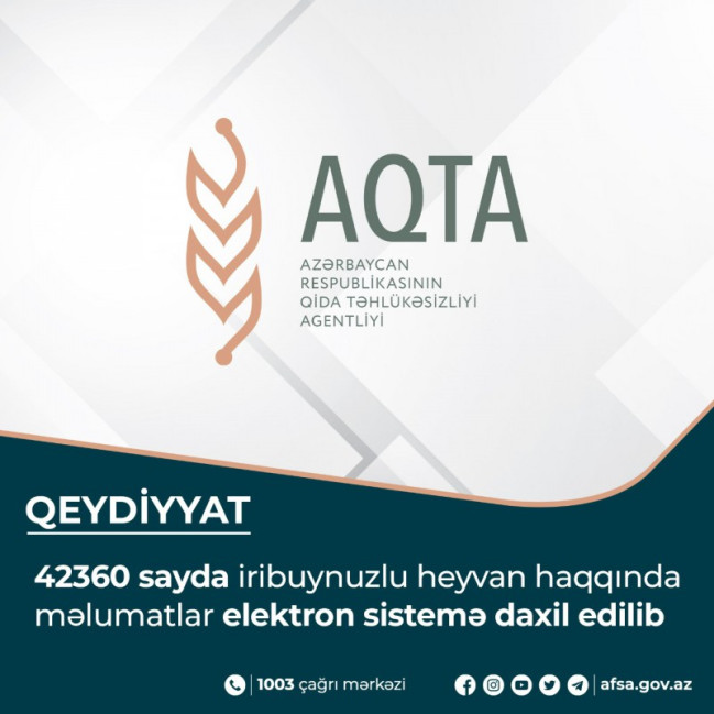 42360 sayda iribuynuzlu heyvan haqqında məlumatlar elektron sistemə daxil edilib