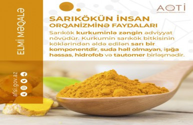 Sarıkökün insan orqanizminə faydaları