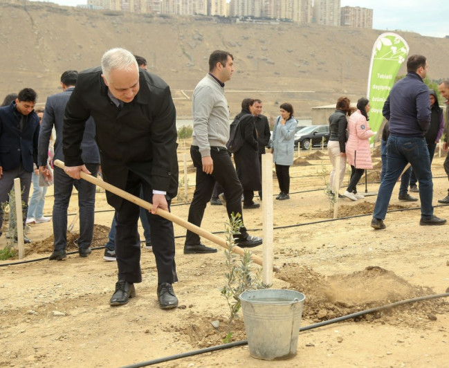 12 may - Beynəlxalq Bitki Sağlamlığı Günü münasibətilə agacəkmə aksiyası keçirlib