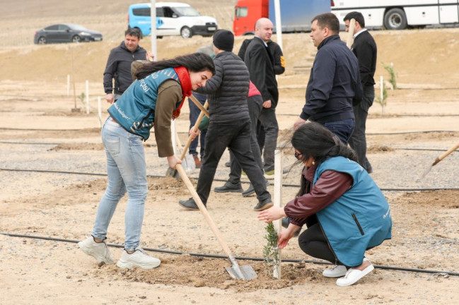 12 may - Beynəlxalq Bitki Sağlamlığı Günü münasibətilə agacəkmə aksiyası keçirlib