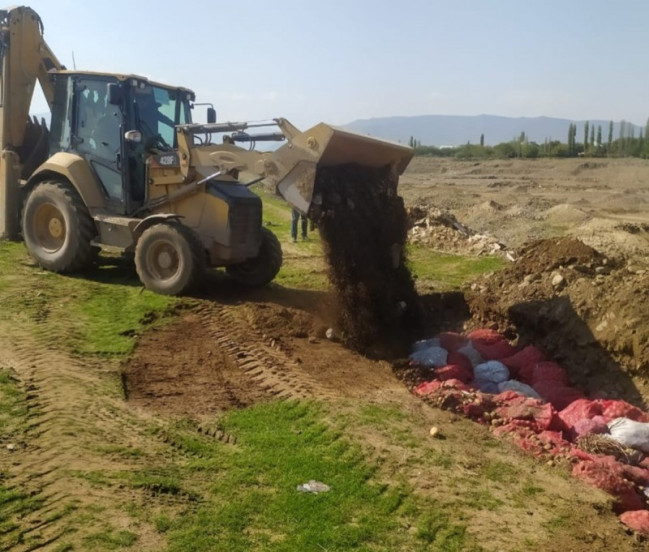 Rusiyadan idxal edilən toxumluq kartof məhsulunda karantin tətbiq edilən zərərverici aşkarlanıb