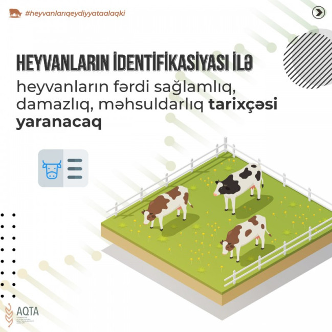 Heyvanların İdentifikasiyası və Qeydiyyatı Sistemi heyvandarlıq məhsullarının “fermadan süfrəyədək” izlənməsinə imkan verəcək