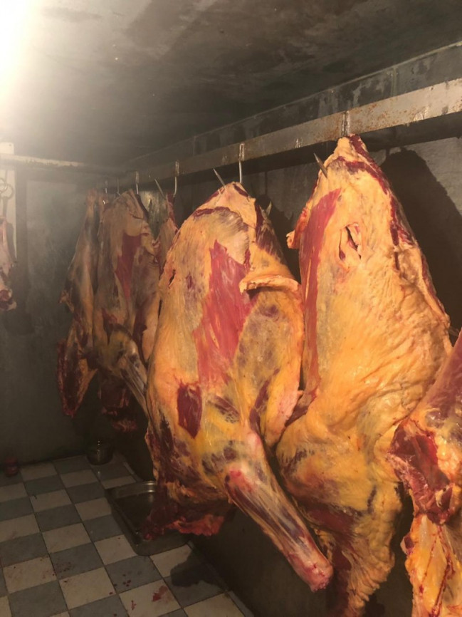 Qurban bayramı günlərində 851 kq istifadəyə yararsız ətin satışının qarşısı alınıb