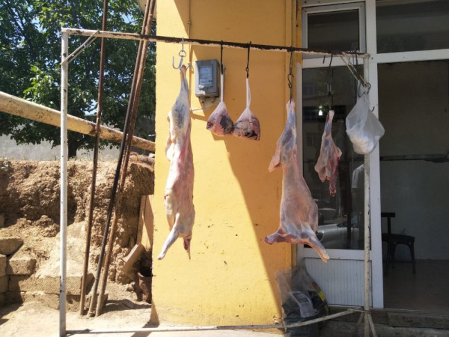 Göygöl, Abşeron, Xırdalan və Zərdabda qanunsuz heyvan kəsiminin qarşısının alınması ilə əlaqədar reyd keçirilib