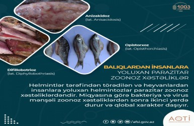 Balıqlardan insanlara yoluxan parazitar zoonoz xəstəliklər