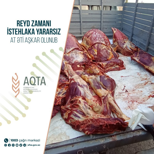 Reyd zamanı istehlaka yararsız at əti aşkar olunub