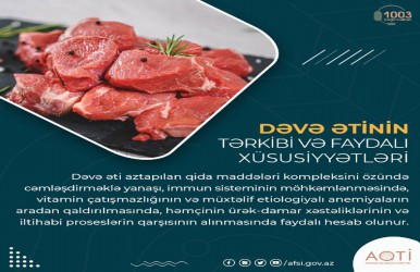 Dəvə ətinin tərkibi və faydalı xüsusiyyətləri