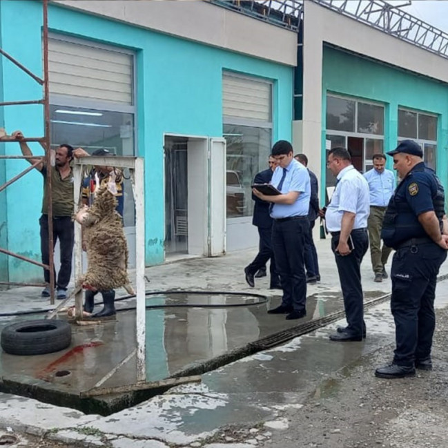 Qanunsuz heyvan kəsimi fəaliyyətinin qarşısının alınması istiqamətində tədbirlər davam etdirilir