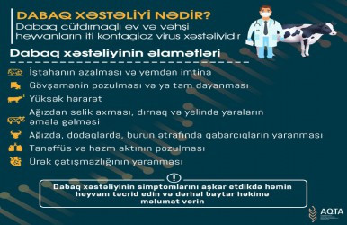 Dabaq xəstəliyi ilə bağlı nələri bilməliyik?