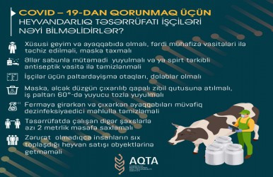 COVID–19-dan qorunmaq üçün heyvandarlıq təsərrüfatı işçiləri nəyə əməl etməlidirlər?