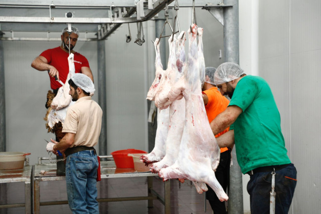 138 ünvanda qurbanlıq heyvanların satışı və kəsimi xidmətləri təşkil edilib