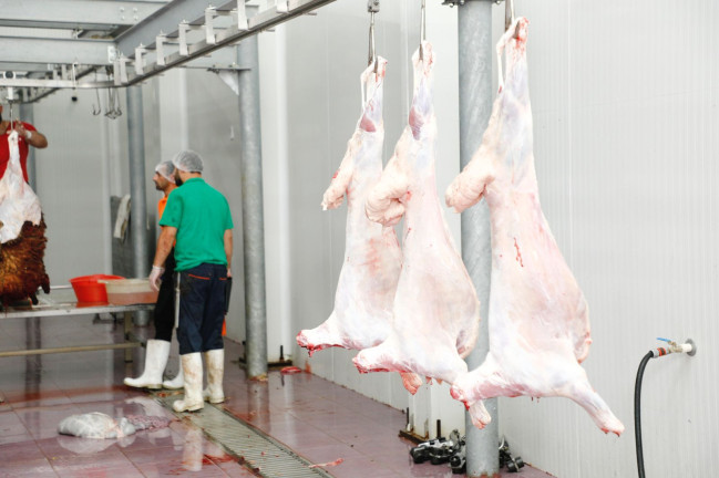 138 ünvanda qurbanlıq heyvanların satışı və kəsimi xidmətləri təşkil edilib