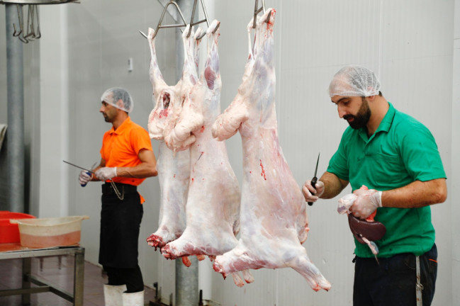 138 ünvanda qurbanlıq heyvanların satışı və kəsimi xidmətləri təşkil edilib