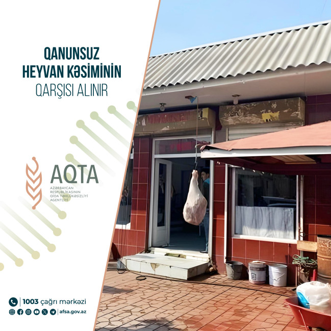 Qanunsuz heyvan kəsiminin qarşısı alınır