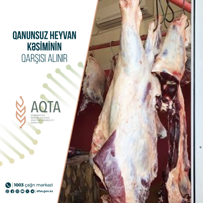 Qanunsuz heyvan kəsiminin qarşısı alınır