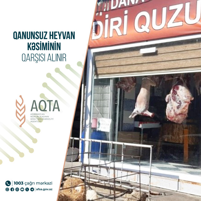 Qanunsuz heyvan kəsiminin qarşısı alınır