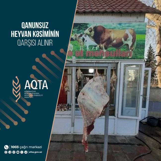 Qanunsuz heyvan kəsiminin qarşısı alınır