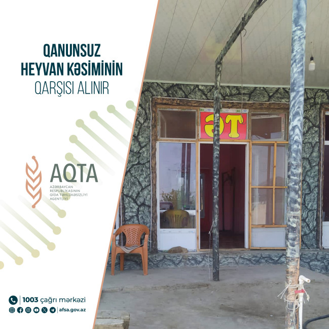 Qanunsuz heyvan kəsiminin qarşısı alınır