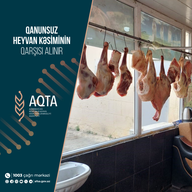 Qanunsuz heyvan kəsiminin qarşısı alınır