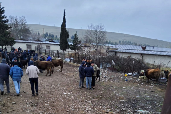 AQTA heyvan satışı bazarlarında monitorinqlər aparır