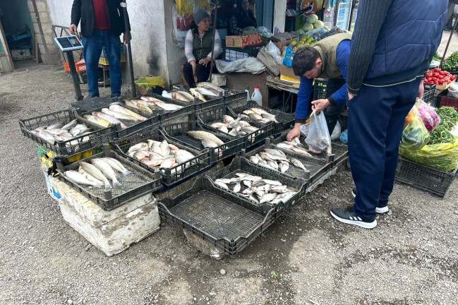 Tovuzda fəaliyyət göstərən bazarda ciddi nöqsanlar aşkarlanıb