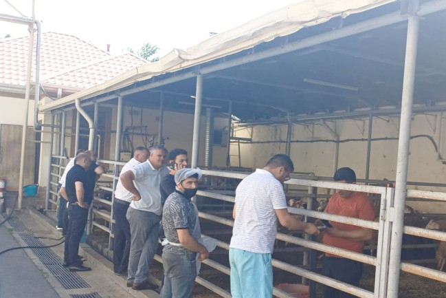 Bayramla bağlı 147 ünvanda qurbanlıq heyvanların satışı və kəsimi xidmətləri göstərilir