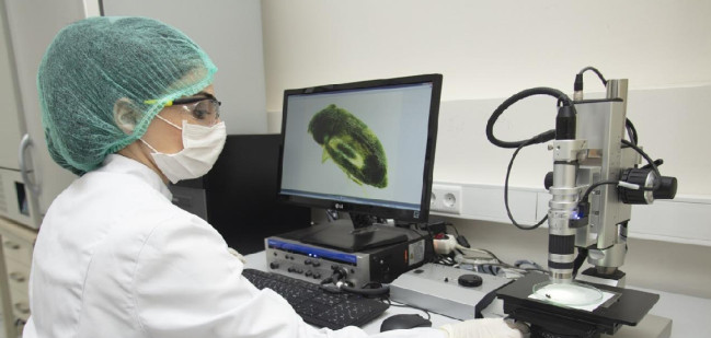 AQTİ-nin bitki sağlamlığı istiqamətində fəaliyyət göstərən laboratoriyaları növbəti səriştəlilik sınaqlarında uğurlu nəticələr əldə edib