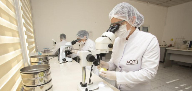 AQTİ-nin bitki sağlamlığı istiqamətində fəaliyyət göstərən laboratoriyaları növbəti səriştəlilik sınaqlarında uğurlu nəticələr əldə edib