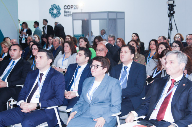 COP29 çərçivəsində “Vahid Sağlamlıq Konfransı” keçirilib